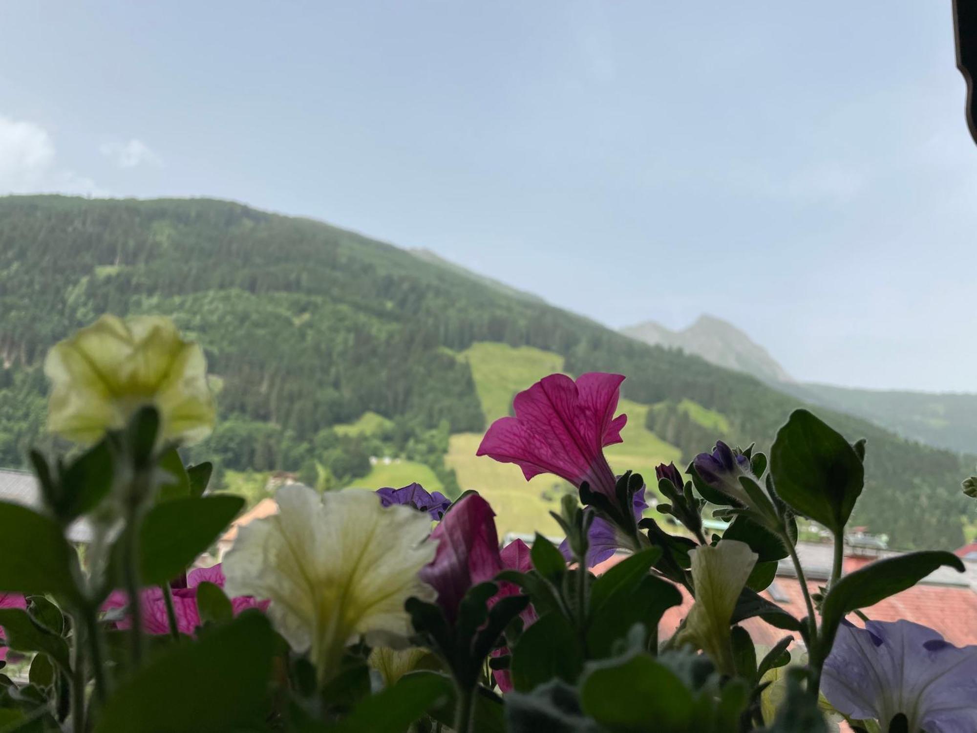 Wengerbauer Dorfgastein Exterior foto